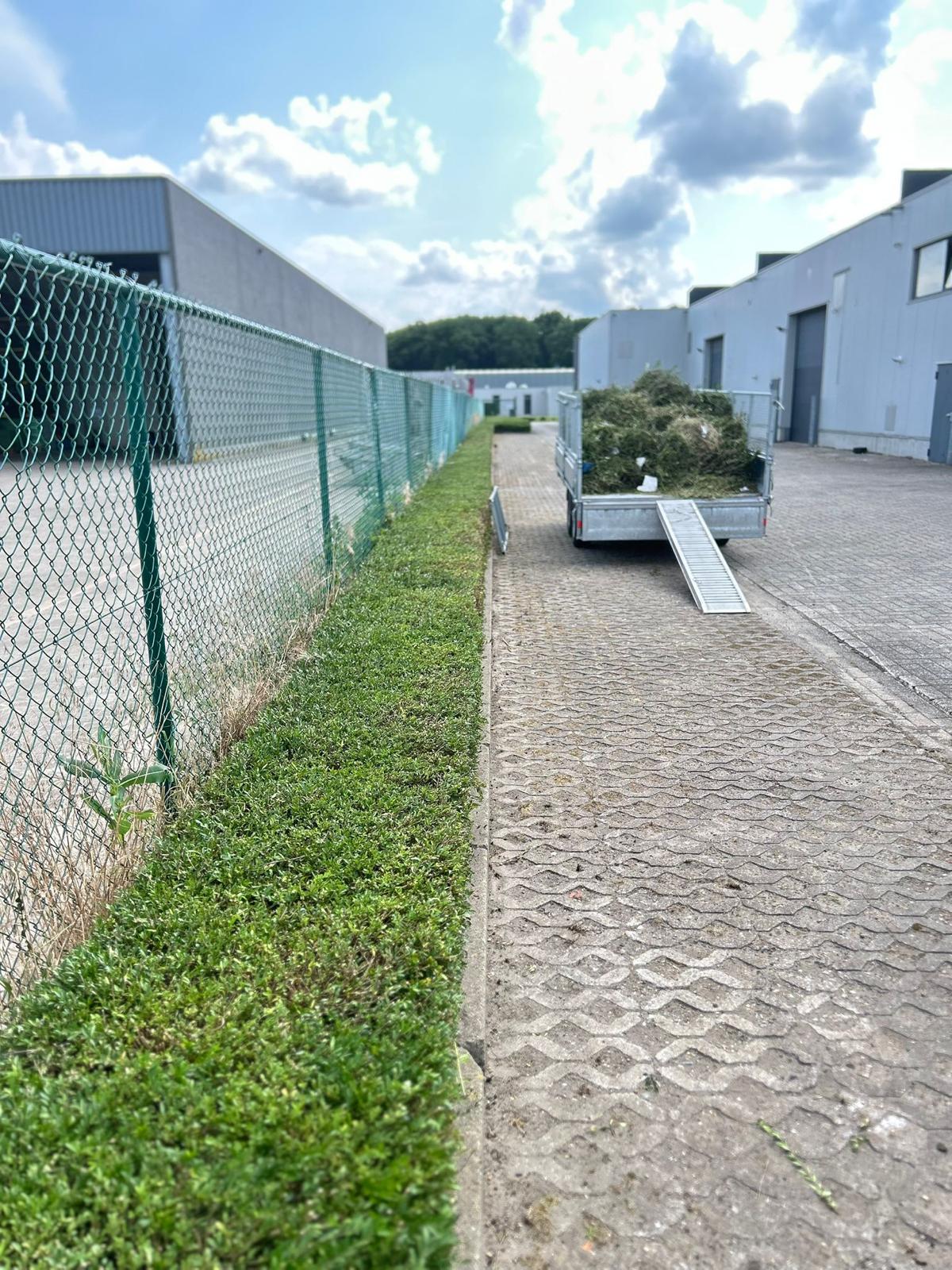 foto_11.jpg