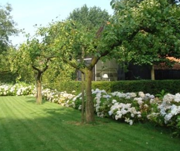 foto_12